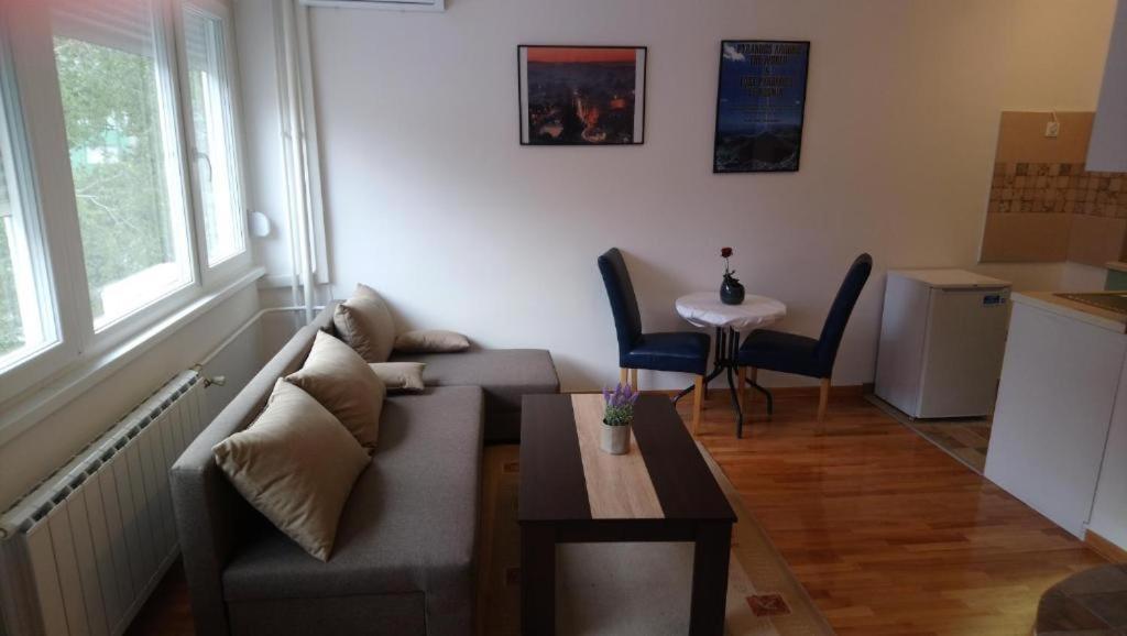 New Central Apartments 塞拉耶佛 外观 照片